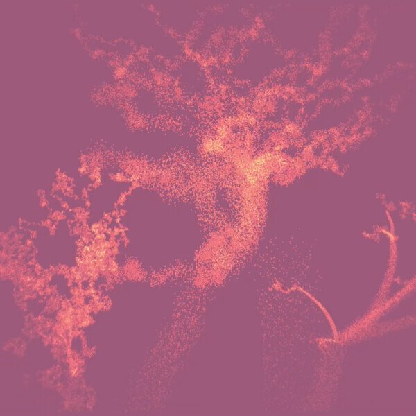 42Percent Noir - Forest