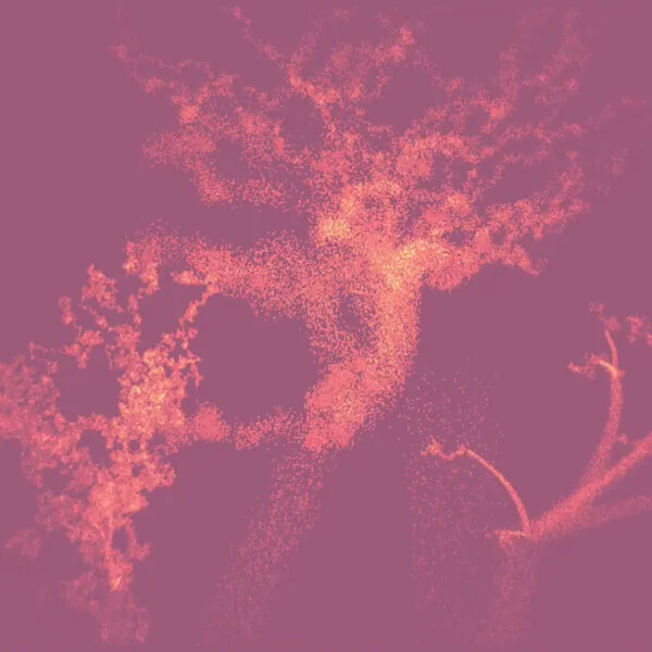 42Percent Noir - Forest